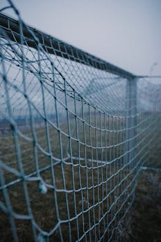 Vippi Ilman Luottotietoja: Selvitys Vaihtoehdoista Ja Hakuprosessista