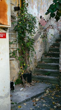 Asuntolainan Takaaminen: Menetelmät, Edut Ja Riskit