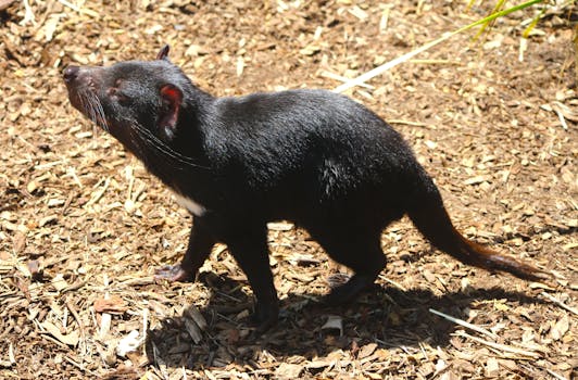 Rocket Casino Arvostelu: Tietoa Ja Kokemuksia Suomalaisten Pelaajien Keskuudessa