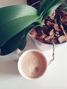 Etsitkö Nordea Joustoluotto Yhteystiedot: Tietoa Ja Yhteydenottovaihtoehtoja