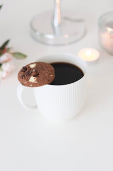 Kasinot Siirto Maksu: Tietopohjainen Opas Siirtomaksujen Käyttöön