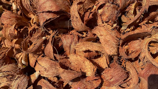 Taloyhtiön Lainan Vakuus: Asunnot Ja Vastuut