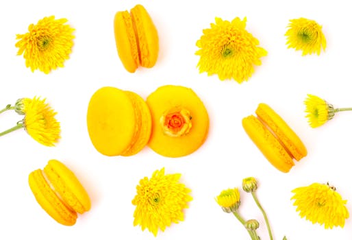 Vakuudellinen Laina Korko: Opas Vakuuden, Korkojen Ja Hakuprosessin Ymmärtämiseen