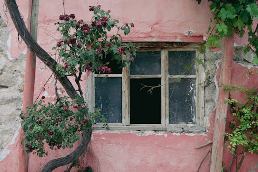 Lainaa Tilille - Ohjeet, Vinkit Ja Parhaat Lainavaihtoehdot