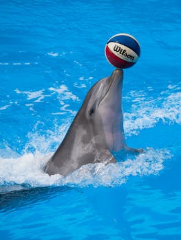 S-Pankki Laina Asiakaspalvelu: Ohjeet Ja Yhteystiedot