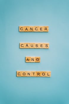 Scandibet Kotiutus: Ohjeet Ja Vinkit Suomenkieliseen Rahansiirtoon