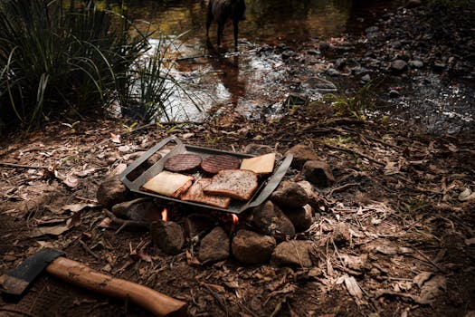 Laina 24: Sähkötarjoukset Ja Pikaiset Lainavaihtoehdot Kasinolla