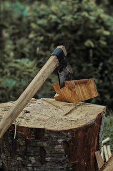 Coolbet Ilmaiskierrokset – Parhaat Tarjoukset Ja Vinkit