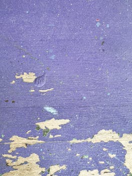 Korkolaskuri Sijoitus: Opas Korkojen Laskemiseen Ja Sijoitusanalyysiin