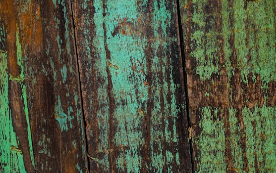 Hauskempi Nettikasino Bonukset: Parhaat Tarjoukset Ja Vinkit