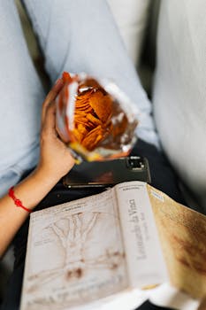 Ilmaiset Pyöräytykset Kasinoilla: Parhaat Tarjoukset Ja Ehdot 2025