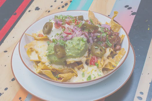 Netticasinot First Premier – Opas Suomalaisille Pelaajille