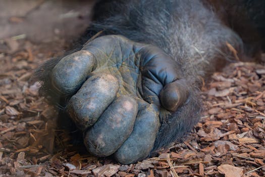 Vertaa Autolainoja Ja Löydä Parhaat Ehdot Autolainaan