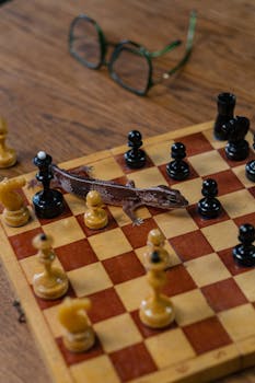 Crypto.com Visa -kortti: Käyttökokemukset Ja Edut Suomessa